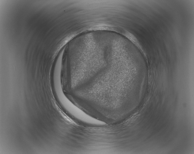 X0000056380389200509232230