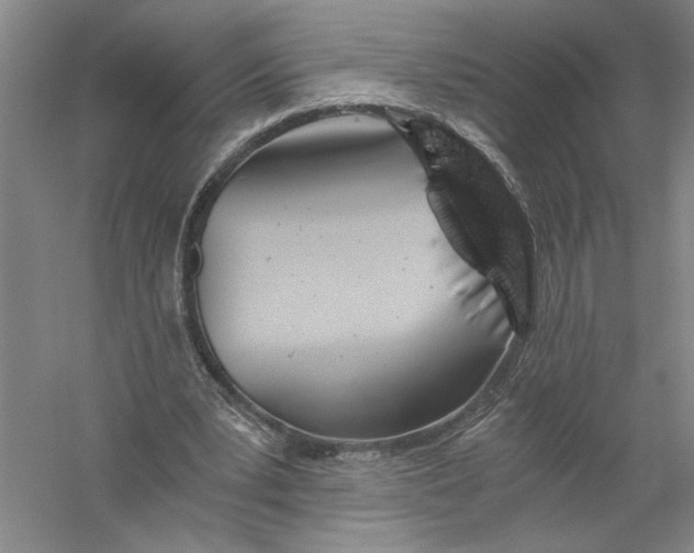 X0000056380391200509232230