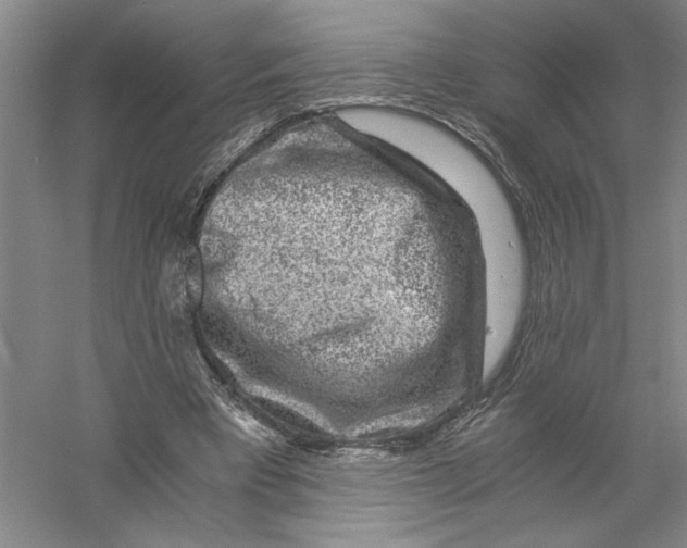 X0000056380393200509232230