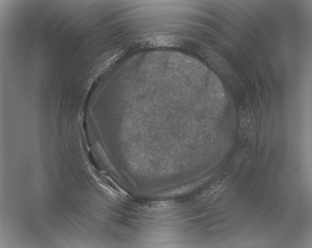 X0000056380398200509232230