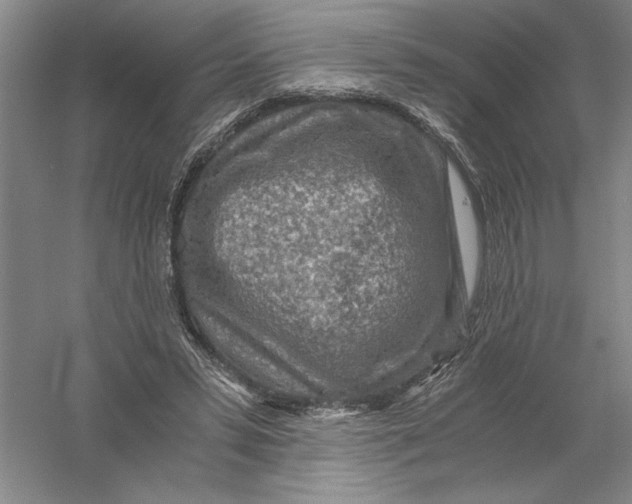 X0000056380399200509232230