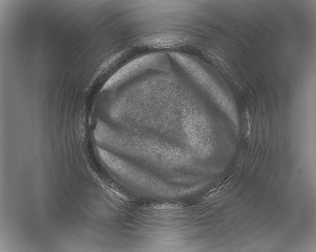 X0000056380400200509232230