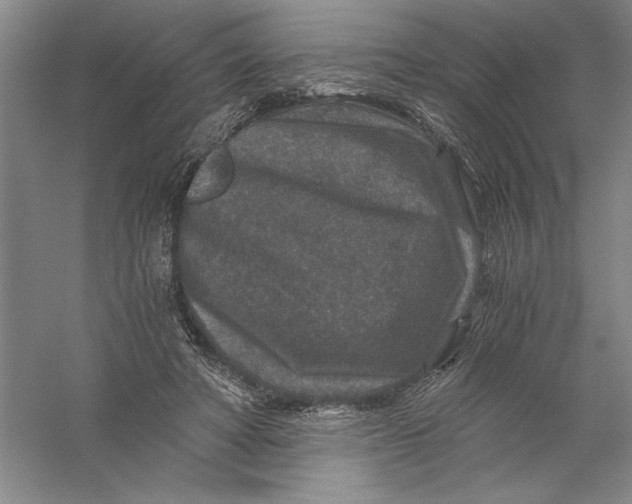 X0000056380402200509232230