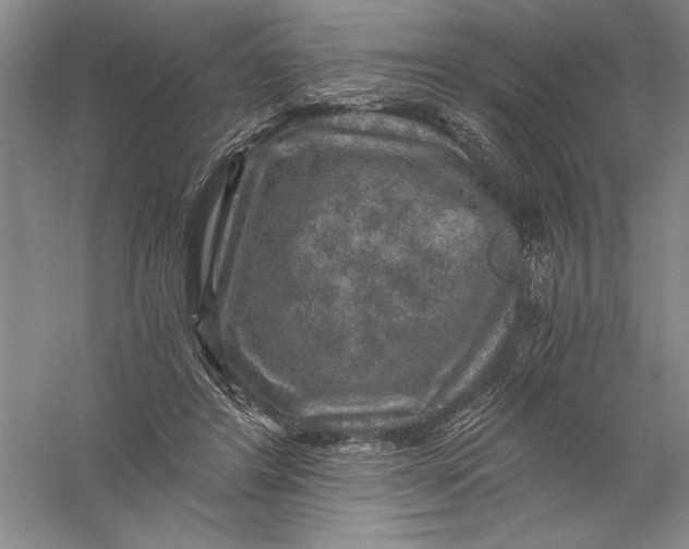 X0000056380404200509232230