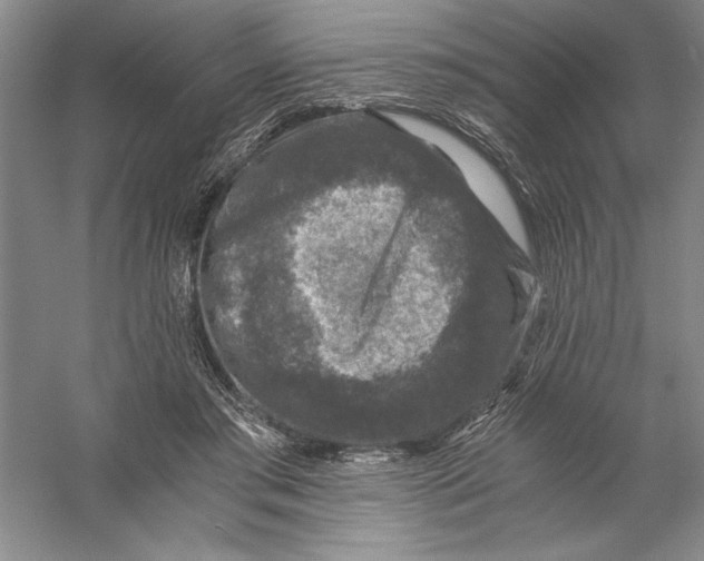 X0000056380405200509232230