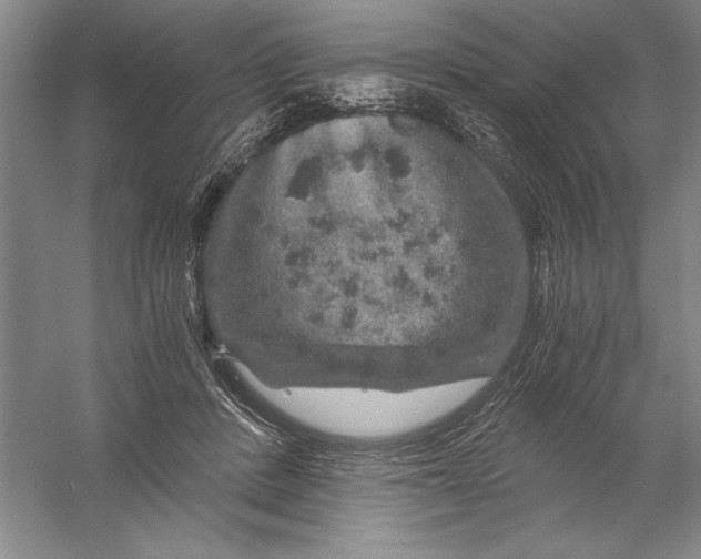 X0000056380408200509232230