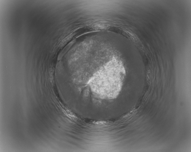 X0000056380409200509232230