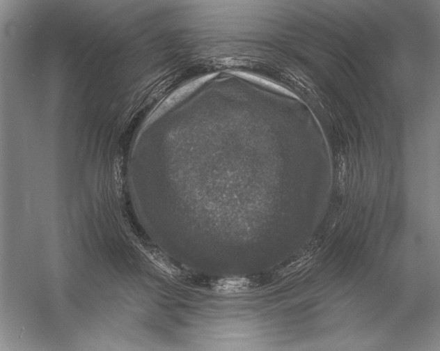 X0000056380410200509232230