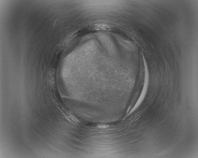 X0000056380413200509232230