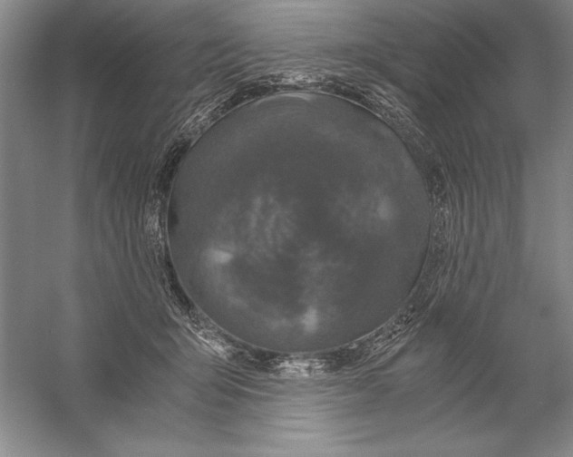 X0000056380415200509232230