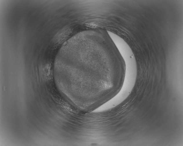 X0000056380420200509232230