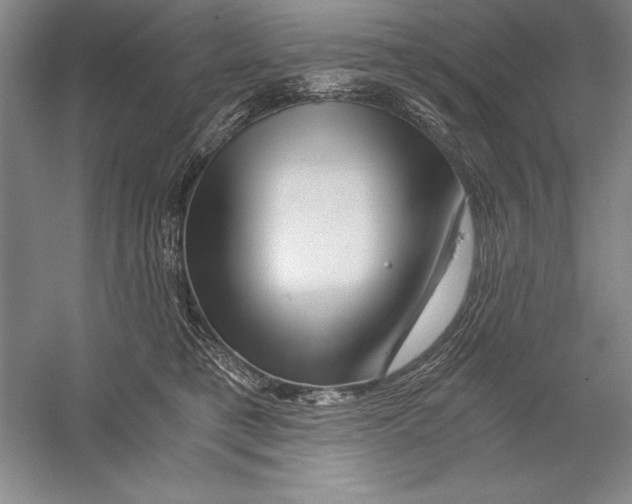 X0000056380421200509232230