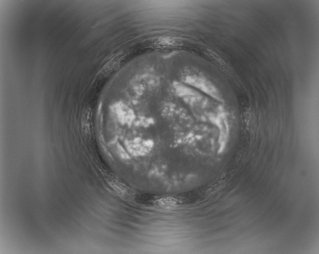 X0000056380423200509232229