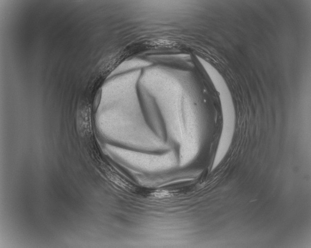 X0000056380425200509232229