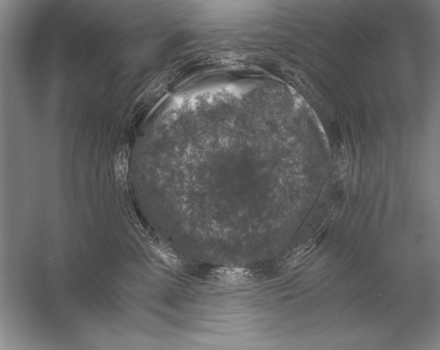 X0000056380427200509232229