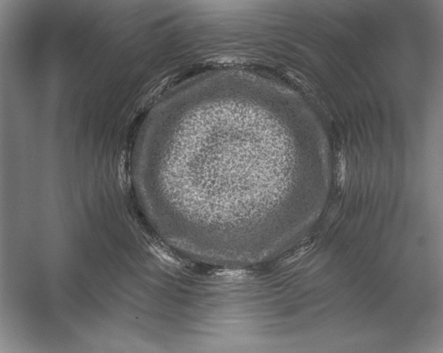 X0000056380428200509232229