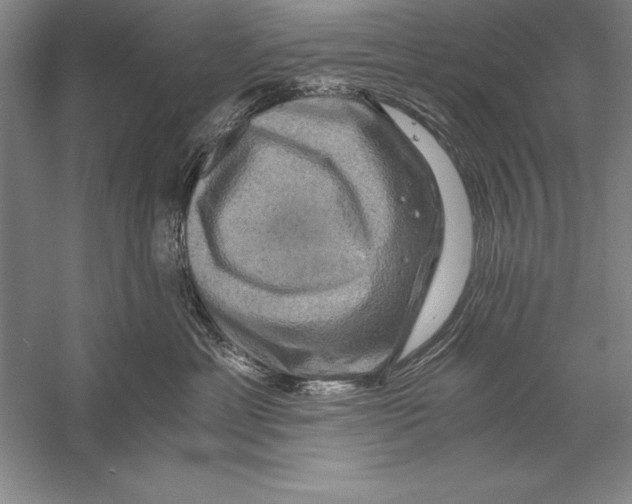 X0000056380429200509232229