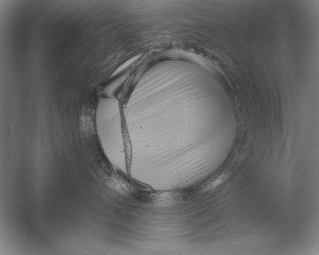 X0000056380432200509232229