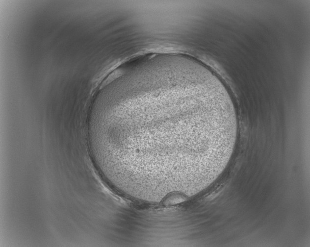 X0000056380433200509232229