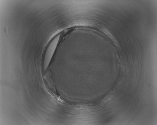 X0000056380434200509232229