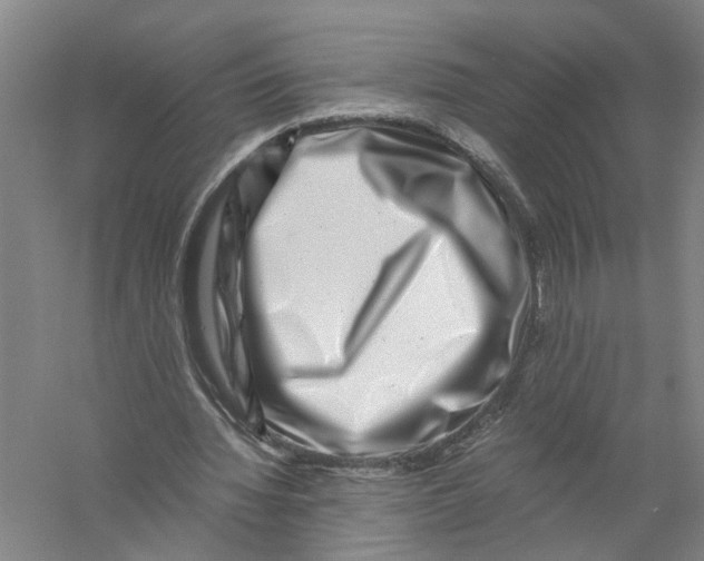 X0000056380436200509232229