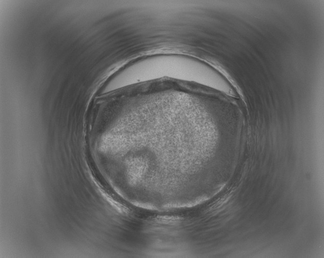 X0000056380437200509232229