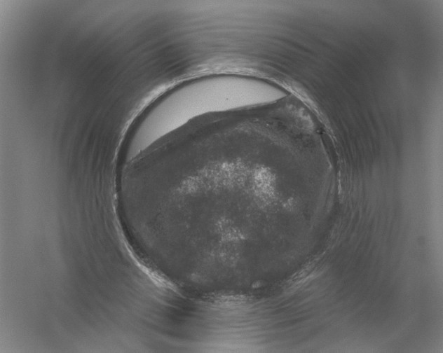 X0000056380438200509232229