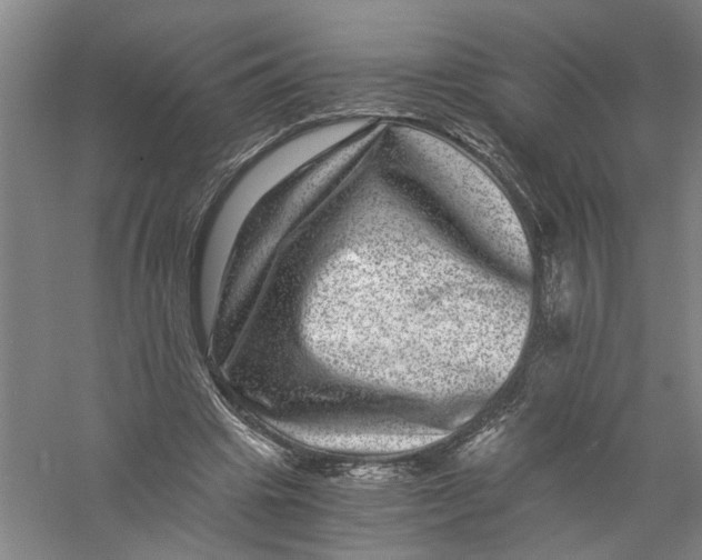 X0000056380441200509232229