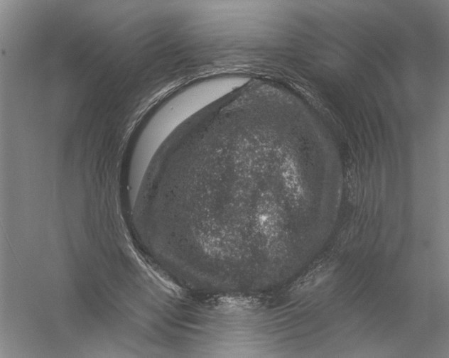 X0000056380442200509232229