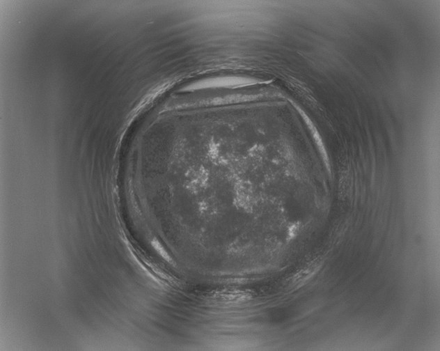 X0000056380443200509232229