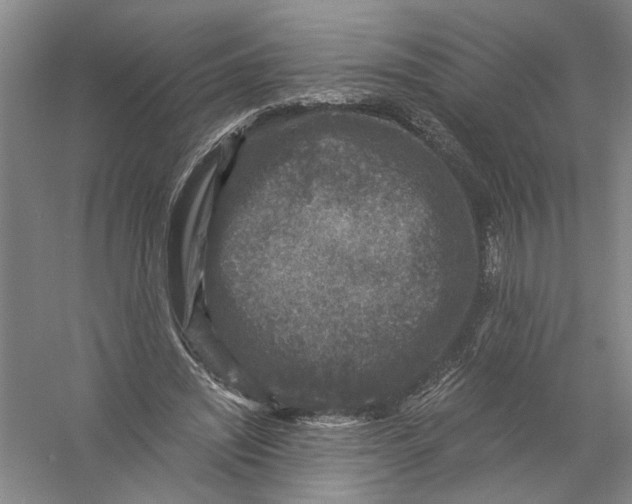 X0000056380444200509232229