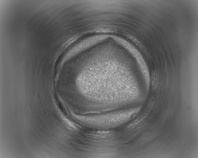 X0000056380445200509232229