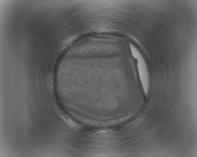 X0000056380447200509232229