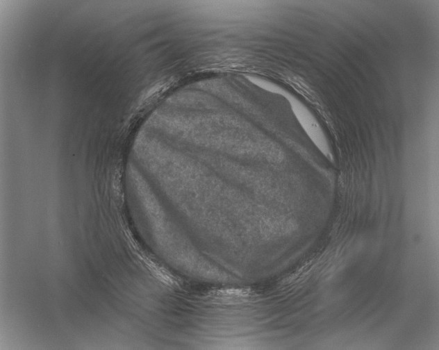 X0000056380449200509232229