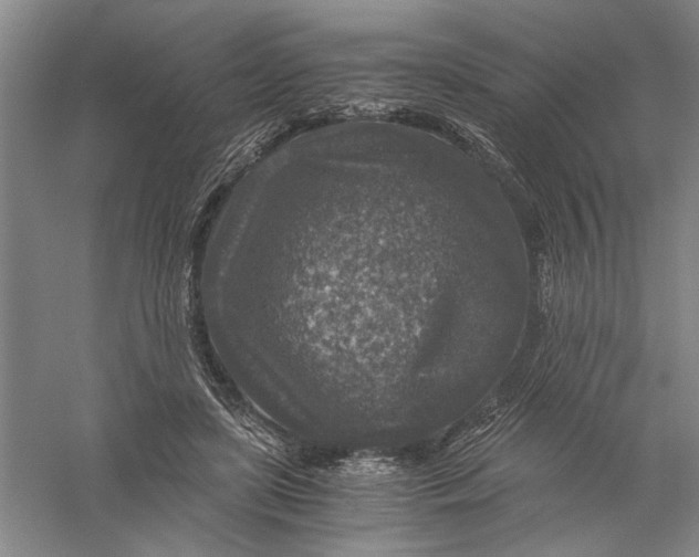 X0000056380451200509232229