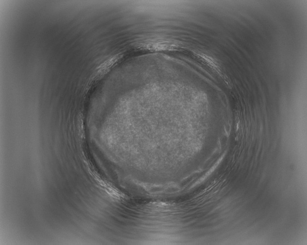 X0000056380453200509232229