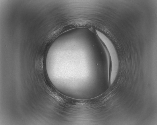 X0000056380454200509232229