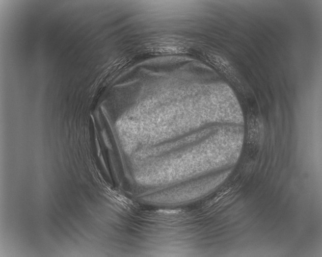 X0000056380457200509232229