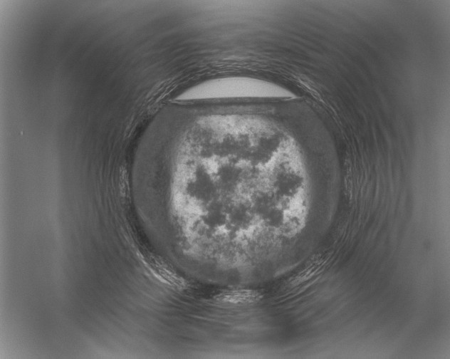 X0000056380459200509232229