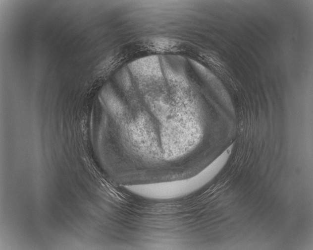 X0000056380461200509232229