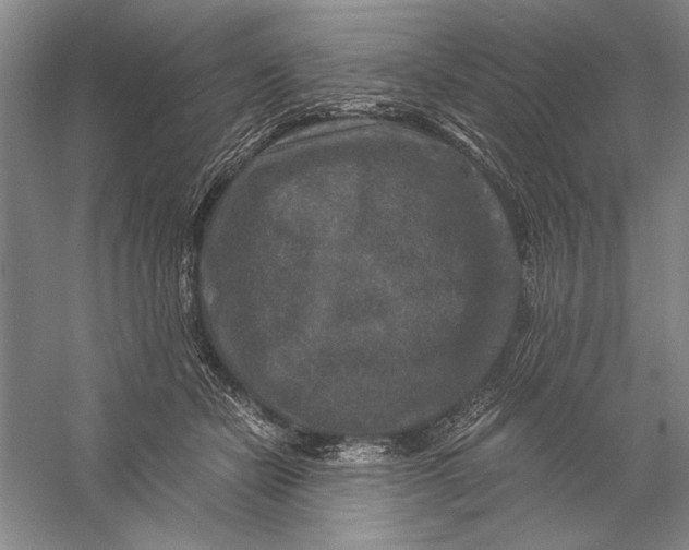 X0000056380462200509232229