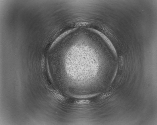 X0000056380463200509232229