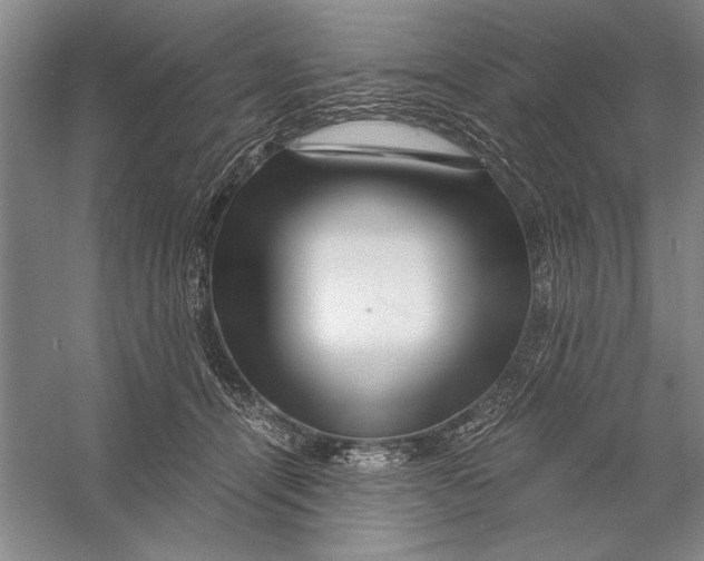 X0000056380464200509232229