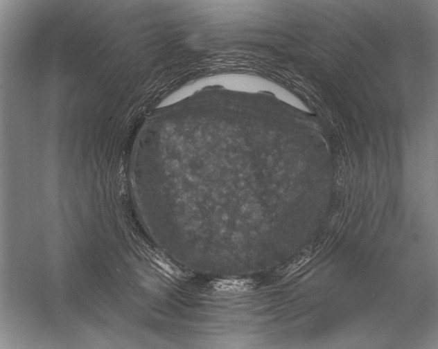 X0000056380465200509232229