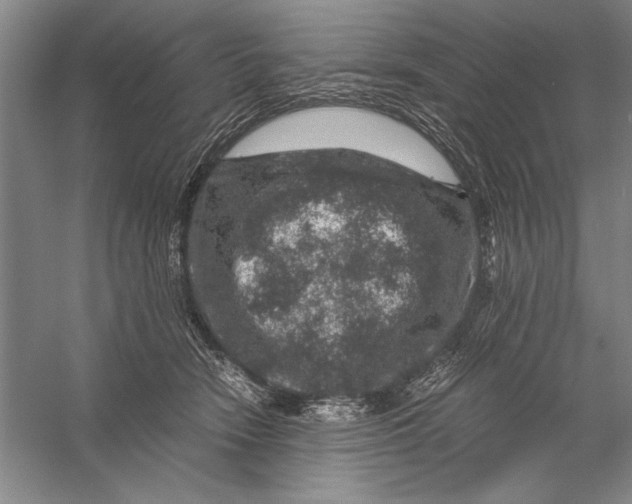 X0000056380466200509232229