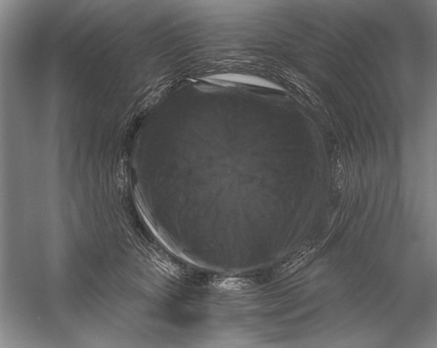 X0000056380467200509232229