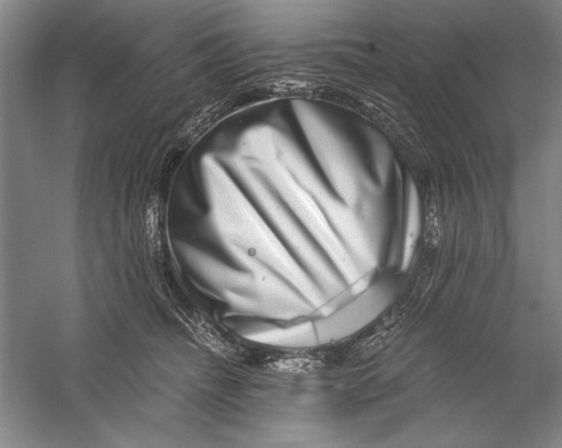 X0000056380468200509232229