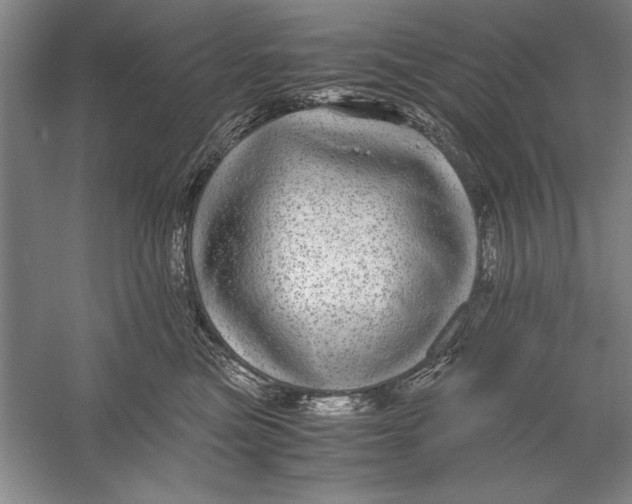 X0000056380473200509232229