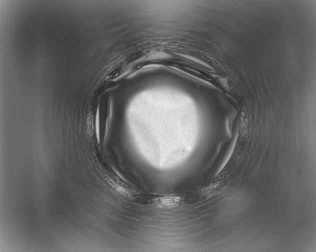 X0000056380474200509232229