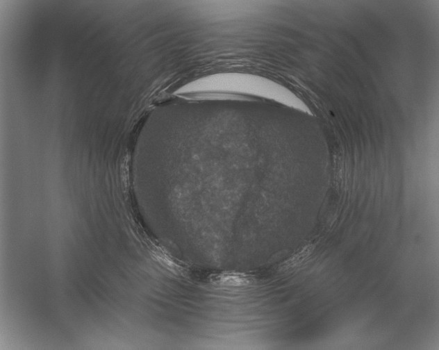 X0000056380475200509232229